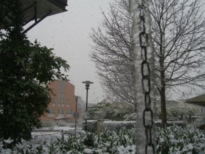 olimpiadi 2008 dresda